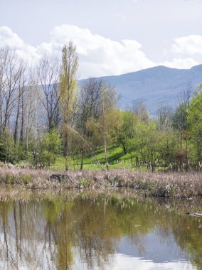 Bulgaristan 'ın Sofya kentindeki South Park' ın İnanılmaz Bahar Manzarası