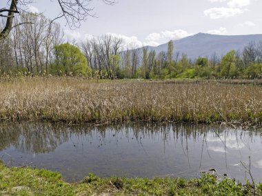 Bulgaristan 'ın Sofya kentindeki South Park' ın İnanılmaz Bahar Manzarası