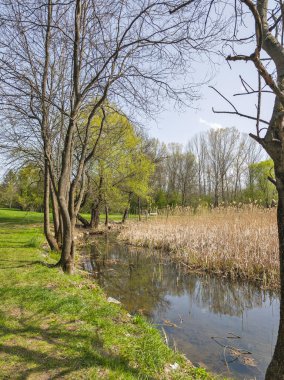 Bulgaristan 'ın Sofya kentindeki South Park' ın İnanılmaz Bahar Manzarası