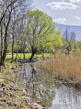 Bulgaristan 'ın Sofya kentindeki South Park' ın İnanılmaz Bahar Manzarası