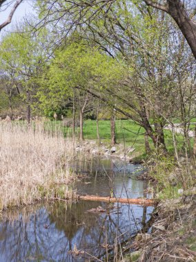 Bulgaristan 'ın Sofya kentindeki South Park' ın İnanılmaz Bahar Manzarası