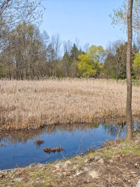 Bulgaristan 'ın Sofya kentindeki South Park' ın İnanılmaz Bahar Manzarası