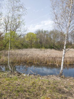 Bulgaristan 'ın Sofya kentindeki South Park' ın İnanılmaz Bahar Manzarası