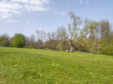 Bulgaristan 'ın Sofya kentindeki South Park' ın İnanılmaz Bahar Manzarası