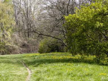 Bulgaristan 'ın Sofya kentindeki South Park' ın İnanılmaz Bahar Manzarası