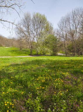 Bulgaristan 'ın Sofya kentindeki South Park' ın İnanılmaz Bahar Manzarası