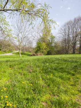 Bulgaristan 'ın Sofya kentindeki South Park' ın İnanılmaz Bahar Manzarası