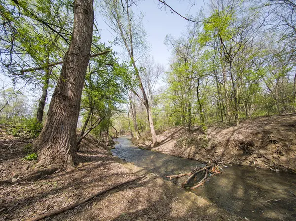 Bulgaristan 'ın Sofya kentindeki South Park' ın İnanılmaz Bahar Manzarası