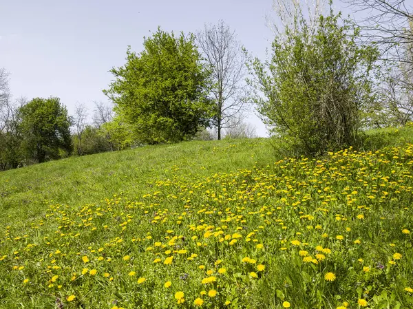 Bulgaristan 'ın Sofya kentindeki South Park' ın İnanılmaz Bahar Manzarası