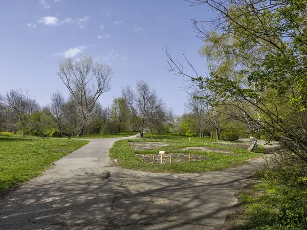 Bulgaristan 'ın Sofya kentindeki South Park' ın İnanılmaz Bahar Manzarası