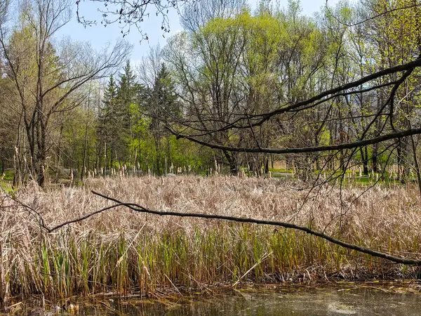 Bulgaristan 'ın Sofya kentindeki South Park' ın İnanılmaz Bahar Manzarası