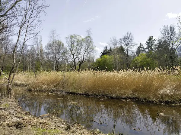 Bulgaristan 'ın Sofya kentindeki South Park' ın İnanılmaz Bahar Manzarası