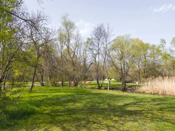 Bulgaristan 'ın Sofya kentindeki South Park' ın İnanılmaz Bahar Manzarası