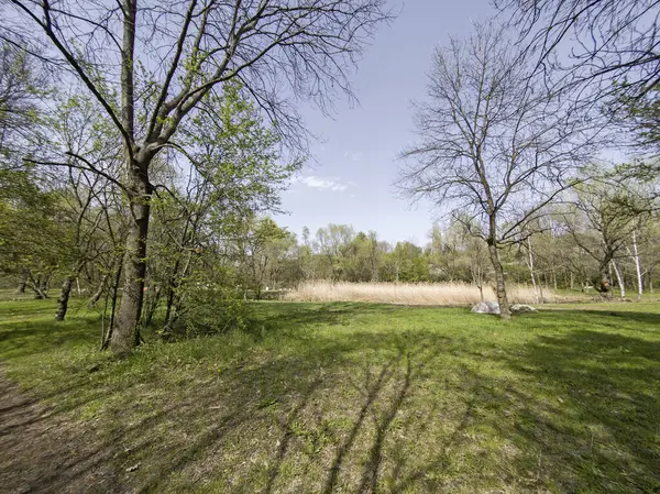 Bulgaristan 'ın Sofya kentindeki South Park' ın İnanılmaz Bahar Manzarası