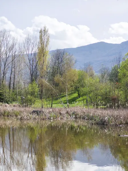 Bulgaristan 'ın Sofya kentindeki South Park' ın İnanılmaz Bahar Manzarası