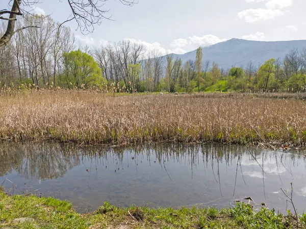 Bulgaristan 'ın Sofya kentindeki South Park' ın İnanılmaz Bahar Manzarası