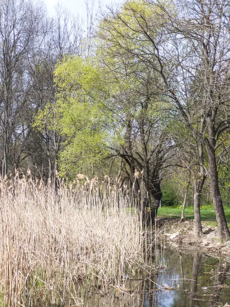 Bulgaristan 'ın Sofya kentindeki South Park' ın İnanılmaz Bahar Manzarası