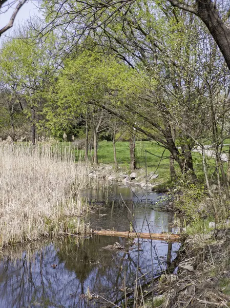 Bulgaristan 'ın Sofya kentindeki South Park' ın İnanılmaz Bahar Manzarası