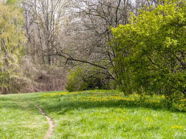 Bulgaristan 'ın Sofya kentindeki South Park' ın İnanılmaz Bahar Manzarası