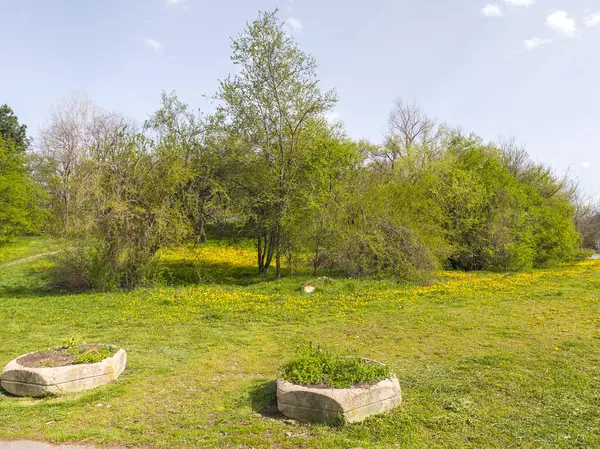 Bulgaristan 'ın Sofya kentindeki South Park' ın İnanılmaz Bahar Manzarası