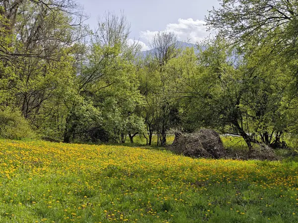 Bulgaristan 'ın Sofya kentindeki South Park' ın İnanılmaz Bahar Manzarası