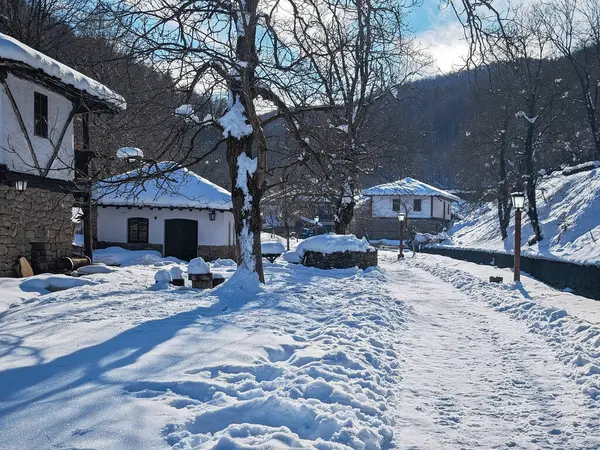 ETAR, GABROVO, BULGARIA - 2 Ocak 2025: Bulgaristan 'ın Gabrovo kenti yakınlarındaki Etara Etnoğrafya Köyü' nün kış manzarası