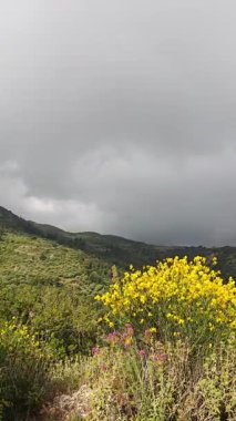 Lefkada Dağı, İyon Adaları, Yunanistan 'ın Muhteşem Bahar Manzarası