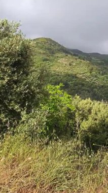 Lefkada Dağı, İyon Adaları, Yunanistan 'ın Muhteşem Bahar Manzarası