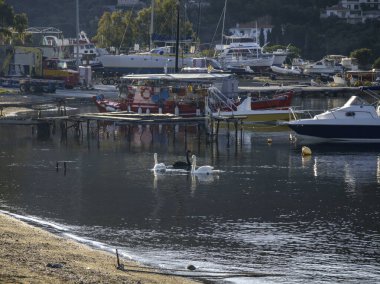 Skiathos Town, Sporades, Thessaly, Yunanistan 'ın sahil sokağından Panorama
