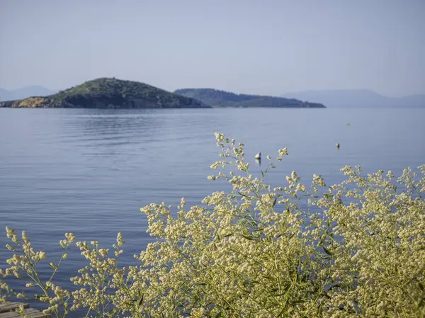Skiathos Town, Sporades, Thessaly, Yunanistan 'ın sahil sokağından Panorama