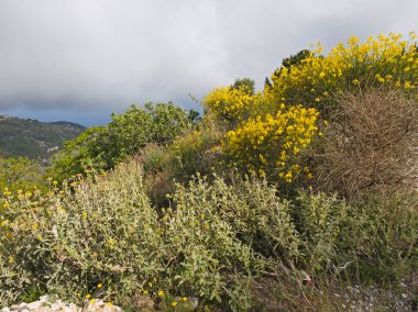 Lefkada Dağı, İyon Adaları, Yunanistan 'ın Muhteşem Bahar Manzarası