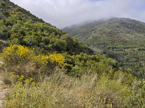 Lefkada Dağı, İyon Adaları, Yunanistan 'ın Muhteşem Bahar Manzarası