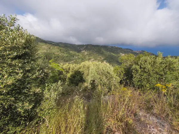 Lefkada Dağı, İyon Adaları, Yunanistan 'ın Muhteşem Bahar Manzarası
