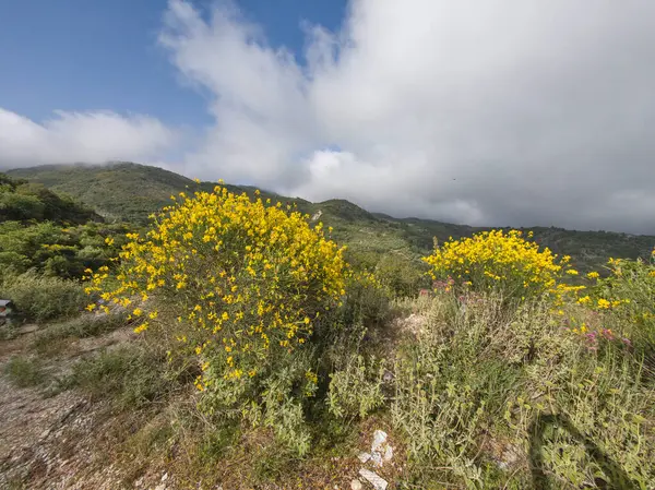 Lefkada Dağı, İyon Adaları, Yunanistan 'ın Muhteşem Bahar Manzarası