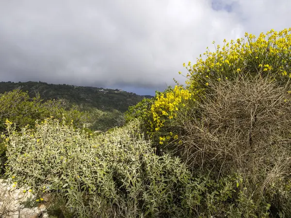 Lefkada Dağı, İyon Adaları, Yunanistan 'ın Muhteşem Bahar Manzarası