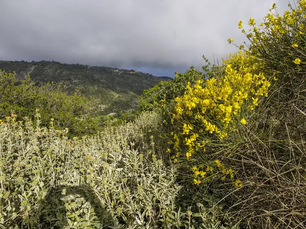 Lefkada Dağı, İyon Adaları, Yunanistan 'ın Muhteşem Bahar Manzarası