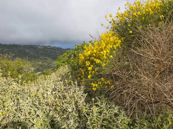 Lefkada Dağı, İyon Adaları, Yunanistan 'ın Muhteşem Bahar Manzarası