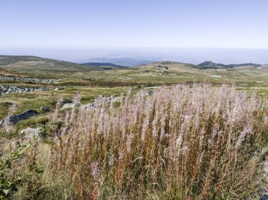 Bulgaristan 'ın Cherni Vrah zirvesi yakınlarındaki Vitosha Dağı' nın şaşırtıcı sonbahar manzarası