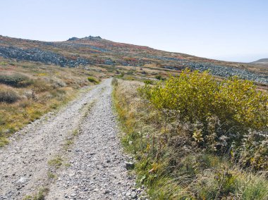 Bulgaristan 'ın Cherni Vrah zirvesi yakınlarındaki Vitosha Dağı' nın şaşırtıcı sonbahar manzarası