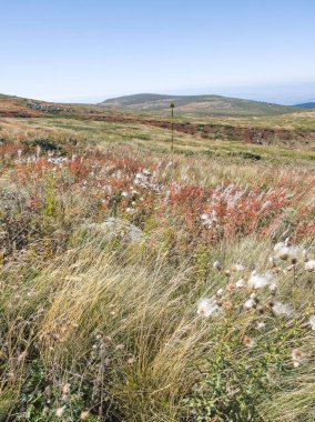 Bulgaristan 'ın Cherni Vrah zirvesi yakınlarındaki Vitosha Dağı' nın şaşırtıcı sonbahar manzarası