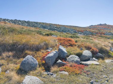 Bulgaristan 'ın Cherni Vrah zirvesi yakınlarındaki Vitosha Dağı' nın şaşırtıcı sonbahar manzarası
