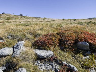 Bulgaristan 'ın Cherni Vrah zirvesi yakınlarındaki Vitosha Dağı' nın şaşırtıcı sonbahar manzarası
