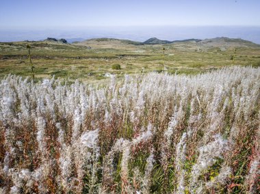 Bulgaristan 'ın Cherni Vrah zirvesi yakınlarındaki Vitosha Dağı' nın şaşırtıcı sonbahar manzarası
