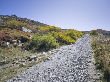 Bulgaristan 'ın Cherni Vrah zirvesi yakınlarındaki Vitosha Dağı' nın şaşırtıcı sonbahar manzarası