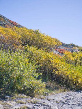 Bulgaristan 'ın Cherni Vrah zirvesi yakınlarındaki Vitosha Dağı' nın şaşırtıcı sonbahar manzarası