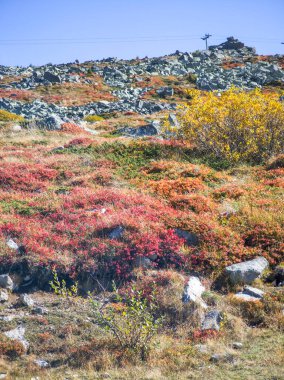 Bulgaristan 'ın Cherni Vrah zirvesi yakınlarındaki Vitosha Dağı' nın şaşırtıcı sonbahar manzarası