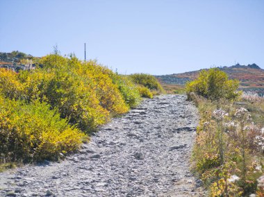 Bulgaristan 'ın Cherni Vrah zirvesi yakınlarındaki Vitosha Dağı' nın şaşırtıcı sonbahar manzarası