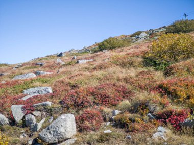 Bulgaristan 'ın Cherni Vrah zirvesi yakınlarındaki Vitosha Dağı' nın şaşırtıcı sonbahar manzarası