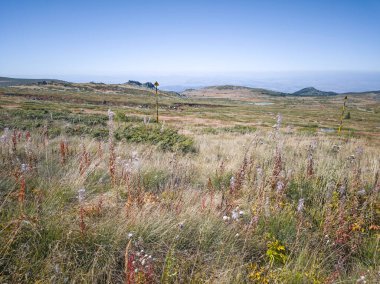 Bulgaristan 'ın Cherni Vrah zirvesi yakınlarındaki Vitosha Dağı' nın şaşırtıcı sonbahar manzarası
