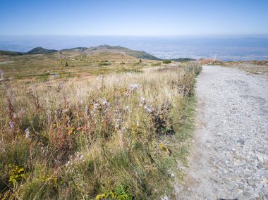 Bulgaristan 'ın Cherni Vrah zirvesi yakınlarındaki Vitosha Dağı' nın şaşırtıcı sonbahar manzarası